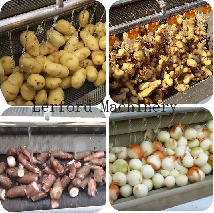 vegetable washing peeling machine