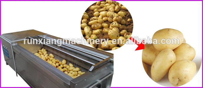 electric carrot washer electric carrot washer