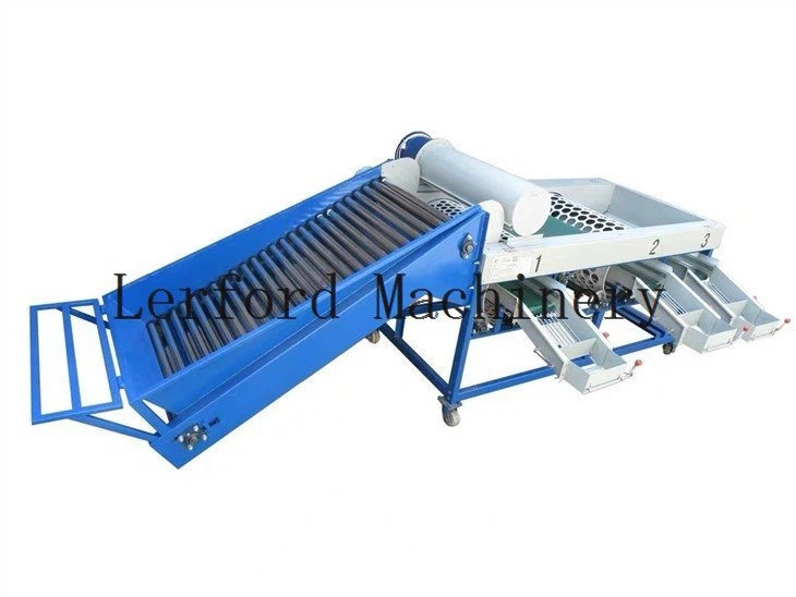 blueberry sorting machine