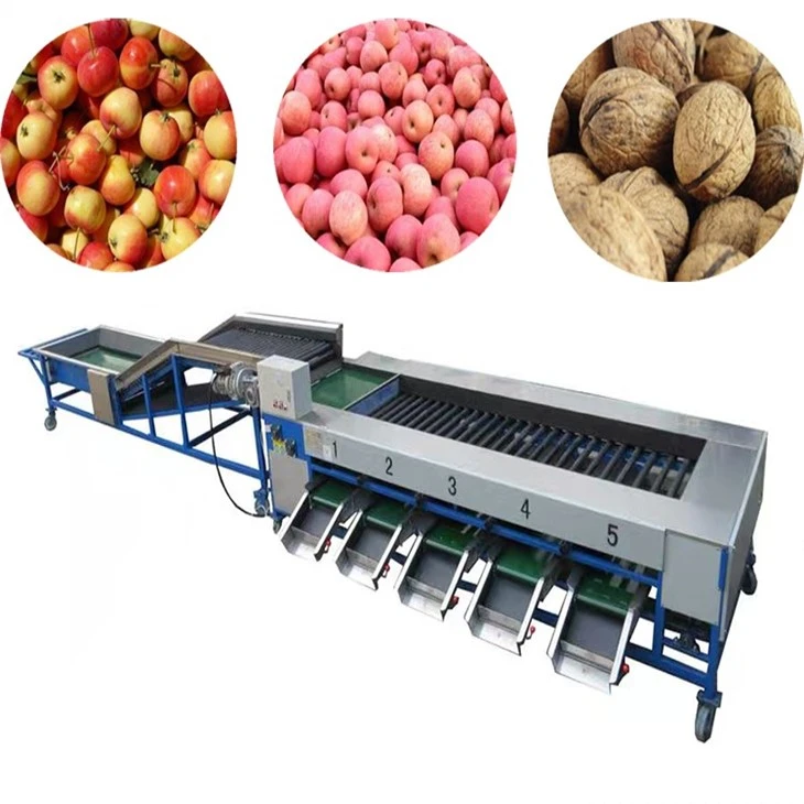 Tomato Paste Processing Line